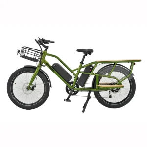 Cargo-Passenger E-Bike