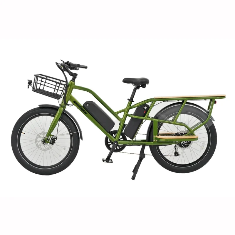 Cargo-Passenger E-Bike
