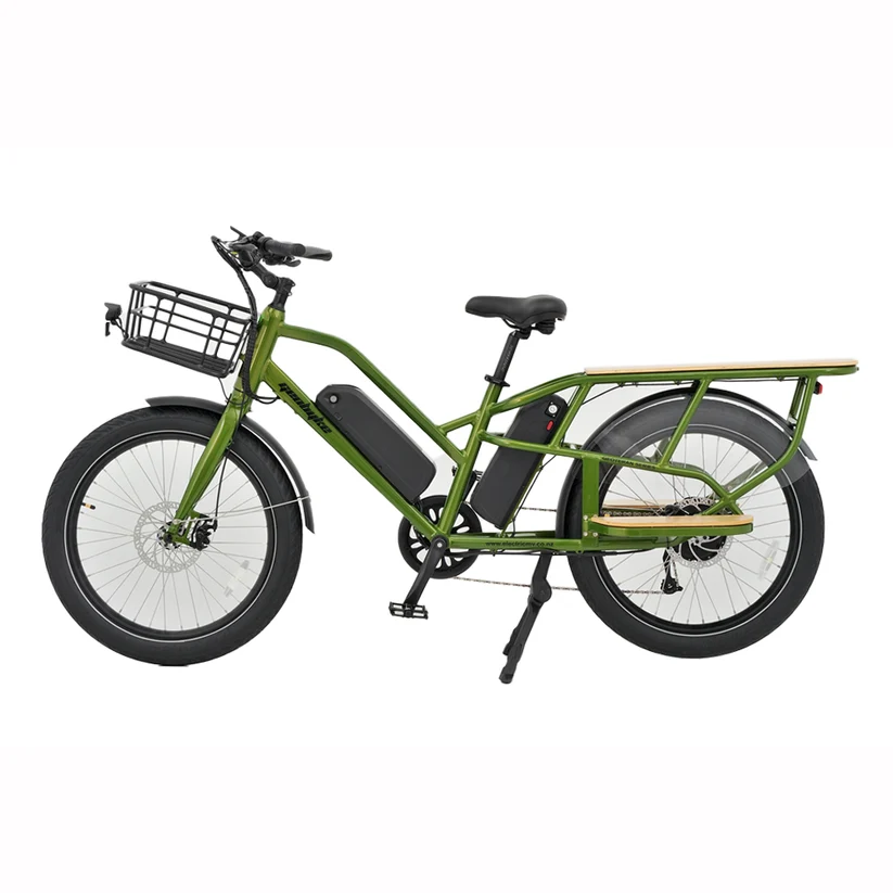 Cargo-Passenger E-Bike