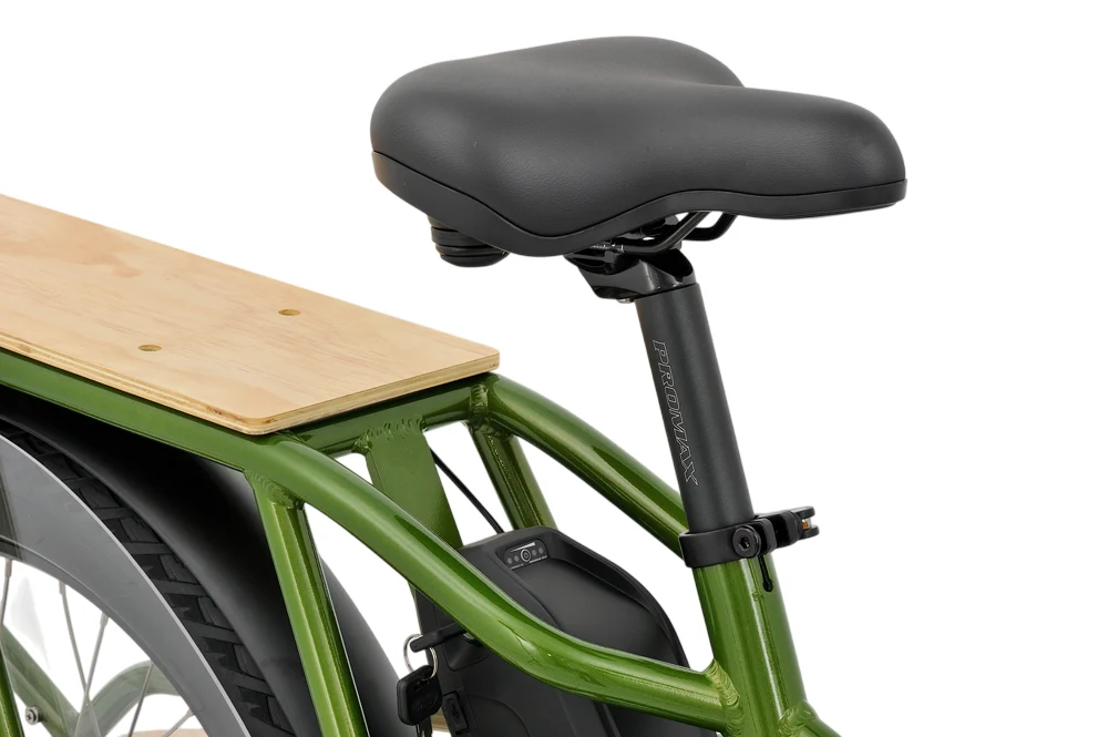 New - Geobyke Cargo-Passenger E-Bike - Image 4