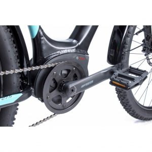 Gepida Berig ATB(All Terrain Electric Bike)-4