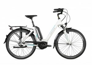 Gepida Reptila 900 Electric Bike