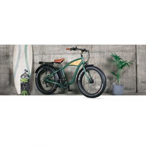 Rev Bikes Coaster-4