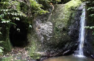 hakarimata-scenic-reserve